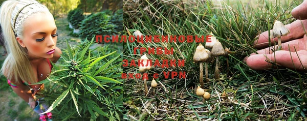 мескалин Вяземский